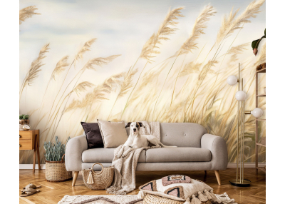 Снимка на фототапет